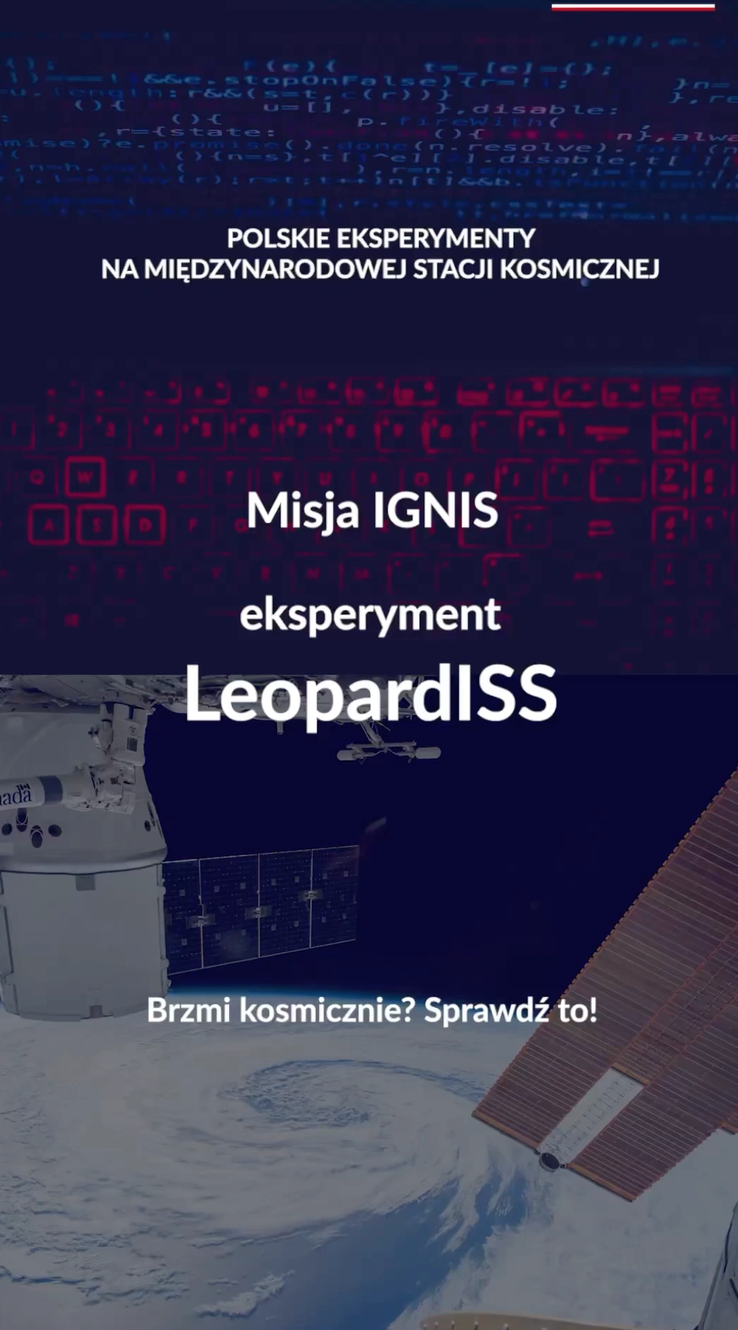 Ignis - Leopard