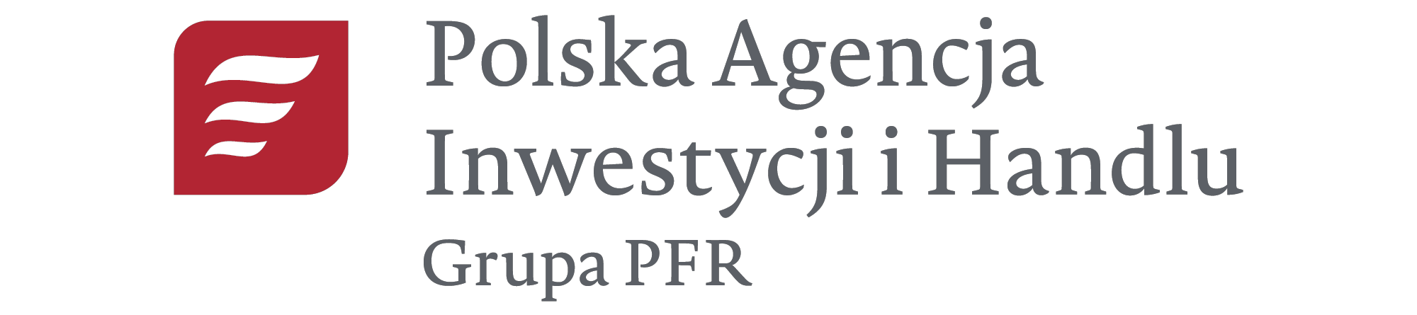 Prezes Państwowa Agencja Inwestycji i Handlu